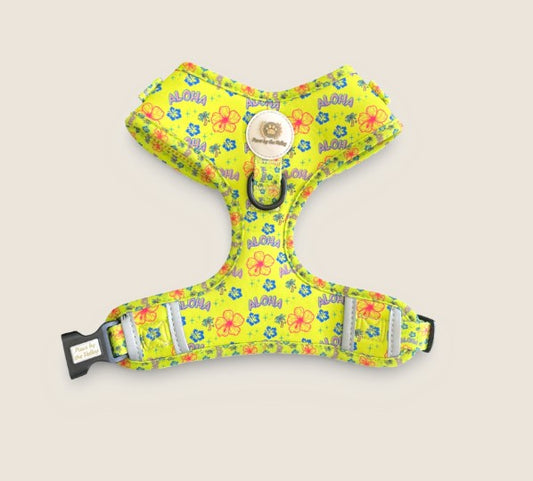 Paws by the Valley Aloha Harness