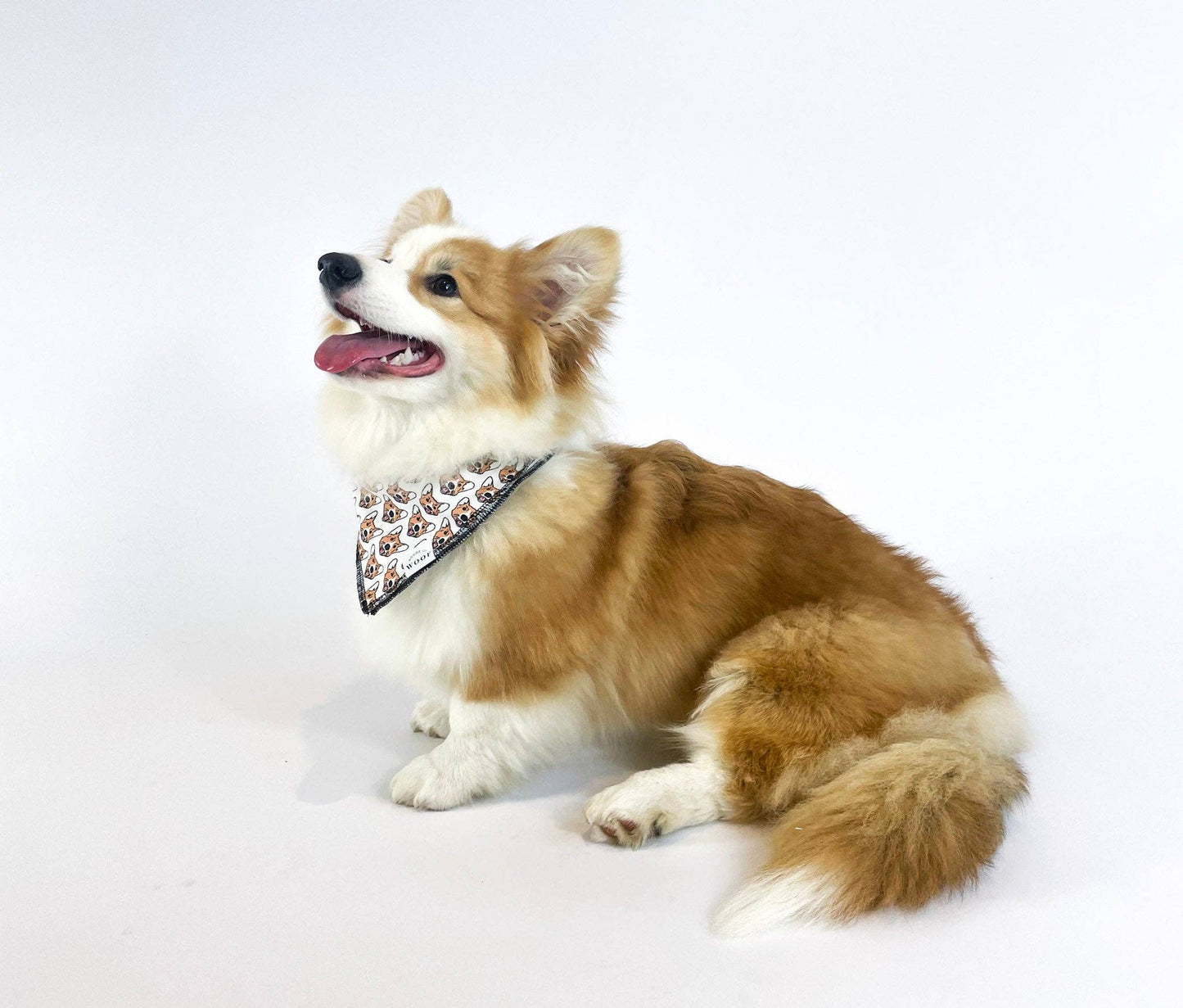 House of Woof Dog Breed bandana : Corgi (Medium)