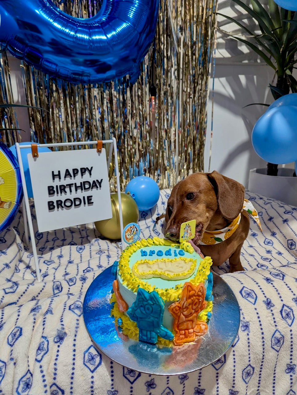 Bluey Themed Pawty Cake